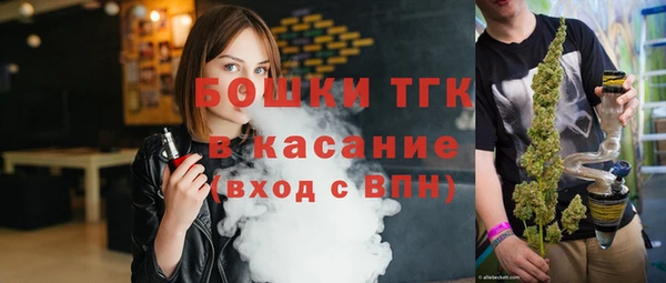 шишки Богородицк