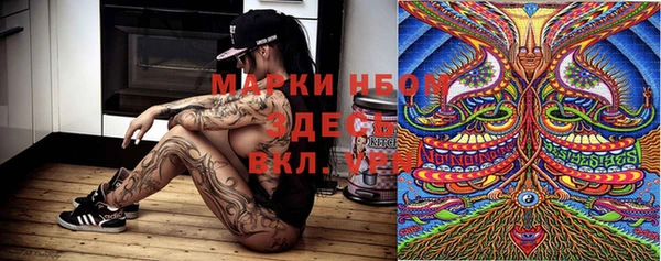 прущий лед Богданович