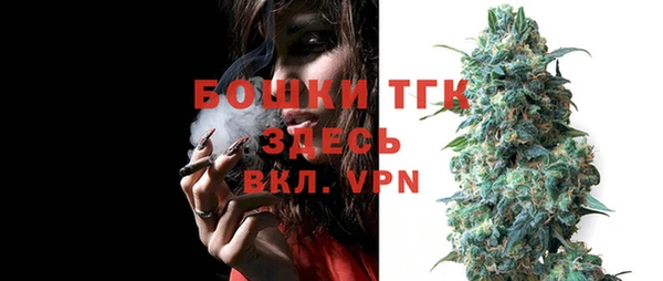 прущий лед Богданович