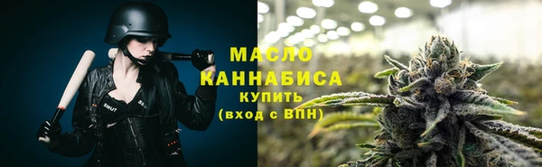 шишки Богородицк