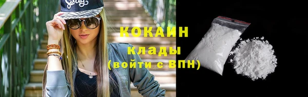 шишки Богородицк