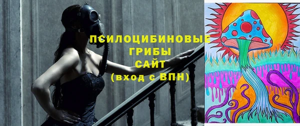 шишки Богородицк