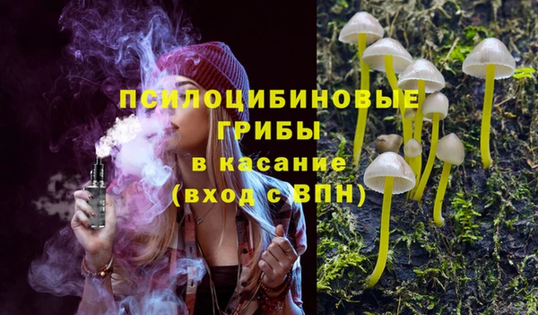 шишки Богородицк