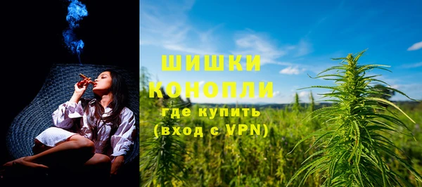прущий лед Богданович