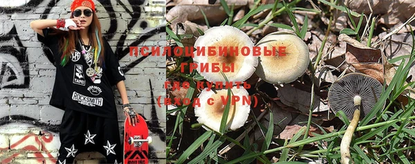 прущий лед Богданович
