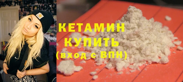 шишки Богородицк
